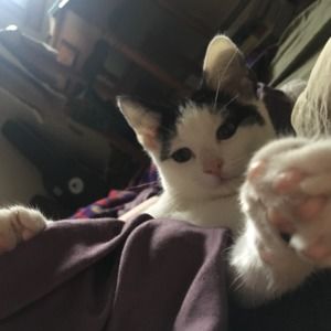 Meet your Posher, Olivia